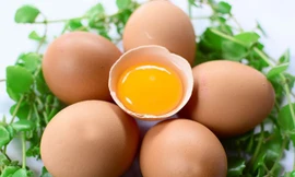 Ảnh minh họa: Internet