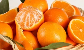 Ảnh minh hoạ: Internet