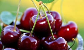 Ảnh minh họa: Internet