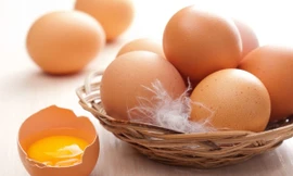 Ảnh minh hoạ: Internet