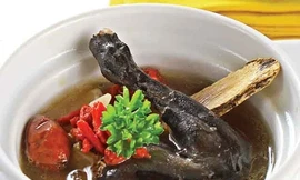 Ảnh minh hoạ: Internet