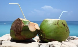 Ảnh minh họa: Internet