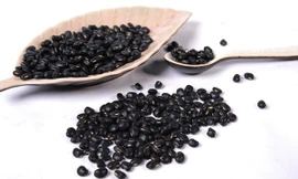 Ảnh minh hoạ: Internet