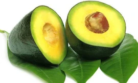 Ảnh minh họa: Internet