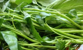 Ảnh minh hoạ: Internet