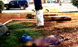 Phát hiện người đàn ông tử vong dưới gốc cây ở công viên