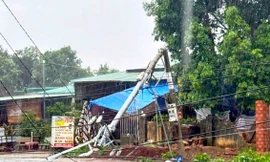 Nhiều trụ điện gãy đổ sau mưa lớn, hàng trăm hộ dân ở Gia Lai bị mất điện