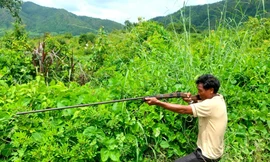 Đi săn thú rừng, người đàn ông bắn chết người trong lùm cây