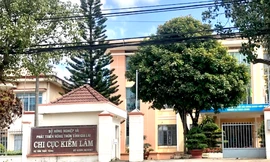 Chi Cục trưởng Kiểm lâm tỉnh Gia Lai nghỉ hưu trước tuổi