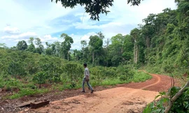 Ông Đương phải chịu trách nhiệm với những tuyến đường xảy ra sai phạm