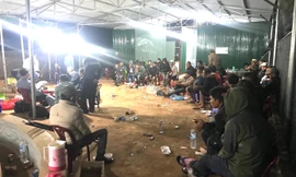 Công an tóm gọn nhóm đối tượng đánh bạc dưới hình thức đá gà