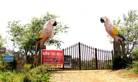 Kon Tum thanh tra toàn diện 27 dự án ở Kon Plông