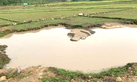 Bàng hoàng phát hiện thi thể 2 em nhỏ nổi trên hồ nước ở Gia Lai