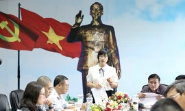 Bà Nguyễn Thị Thanh Lịch phụ trách, điều hành công việc UBND tỉnh Gia Lai