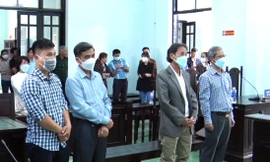 Bộ sậu cựu lãnh đạo, cán bộ huyện lĩnh án vì giao 26.000 m2 đất không đấu giá