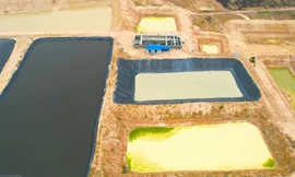 Gia Lai xử phạt hơn 1 tỷ đồng 4 công ty nuôi heo chưa có giấy phép môi trường