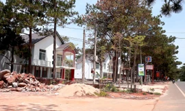 Tỉnh Kon Tum chỉ đạo xử lý nghiêm vụ hàng loạt biệt thự, homestay chiếm đất rừng