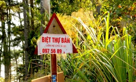 Vụ giao năm lô biệt thự không qua đấu giá ở Măng Đen: Đề nghị cảnh cáo Trưởng phòng TN&MT