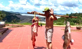 Ông Nguyễn Chất Sâm gánh cá từ sông Sê San về khu sinh thái của mình