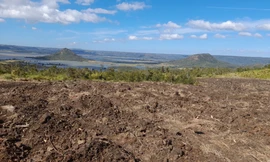 Hơn 5,4ha rừng phòng hộ đầu nguồn bị san phẳng