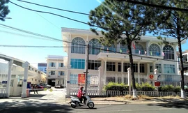 Gia Lai kỷ luật 254 đảng viên trong năm 2022