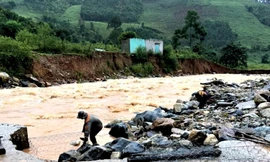 Hai vợ chồng bị sét đánh tử vong khi làm rẫy