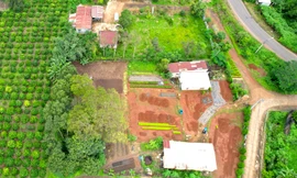 Buộc cựu trưởng ban quản lý rừng phòng hộ giao trả hơn 16.000m2 đất rừng lấn chiếm 