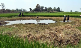 Phát hiện thi thể bé trai 10 tuổi ở ao ruộng