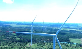 Gia Lai báo cáo gì vụ 5 dự án điện gió vi phạm?