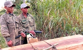 Bắt quả tang nhóm đối tượng dùng xe độ chuyển gỗ trái phép