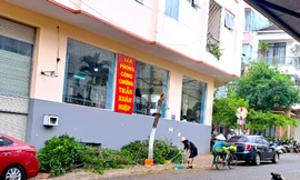 Làm rõ việc cựu giám đốc Sở Tư pháp tỉnh Gia Lai tự ý cắt ngọn cây trên vỉa hè