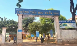 Xử lý hiệu trưởng buộc thôi việc kế toán sai quy định