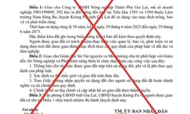 Tin mới vụ làm giả quyết định giao 392ha đất trồng rừng cho doanh nghiệp
