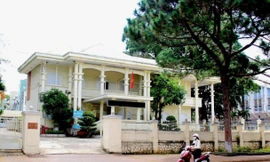 Vi phạm mua sắm kit xét nghiệm, Sở Y tế Gia Lai bị yêu cầu kiểm điểm