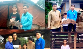 Học sinh nghèo xúc động nhận bò, heo từ nhà hảo tâm