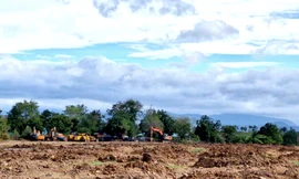 Lời khai của hai người đàn ông thuê xe cơ giới san ủi đất lâm nghiệp