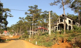 Kon Tum: Chuyển công an điều tra vụ làm dự án biệt thự trên đất rừng 