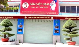 Tin mới vụ công ty tuyên bố có hàng chục ha sâm Ngọc Linh ở Kon Tum 