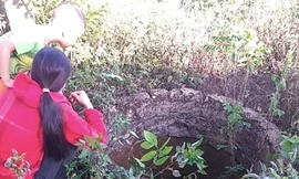 Ảnh minh hoạ. Nguồn: Internet