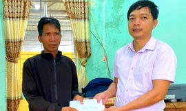 Làm thịt cóc cho gia đình ăn, 3 người nhập viện cấp cứu