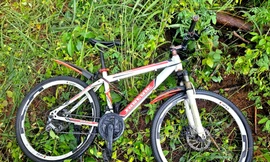 Người đàn ông tử vong trong tư thế treo cổ ở rừng thông