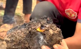 Thực hư thông tin đất bốc cháy ở Gia Lai