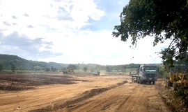 Xác định đối tượng san ủi đất do ban quản lý rừng phòng hộ quản lý