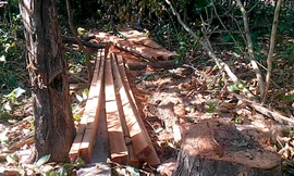 Hiện trường vụ 30 lâm tặc đe doạ lực lượng chức năng 