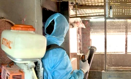 Nữ bệnh nhân 42 tuổi ở Gia Lai tử vong do sốt xuất huyết 