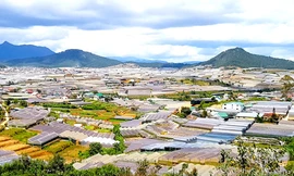 Cận cảnh loạt nhà kính bủa vây Đà Lạt 