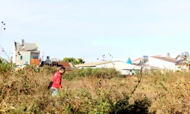 Thu hồi lại dự án làm trụ sở gần 4.000m2 để cỏ dại mọc um tùm 