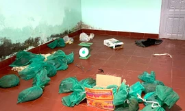 Phát hiện nhiều cá thể tê tê, hổ mang chúa cất trong nhà người phụ nữ