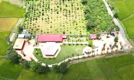 Vụ 'biệt phủ' xây trái phép: Tòa bác đơn kiện Chủ tịch TP Pleiku