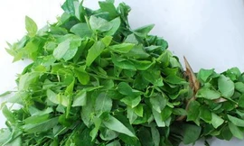 Ảnh minh hoạ: Internet